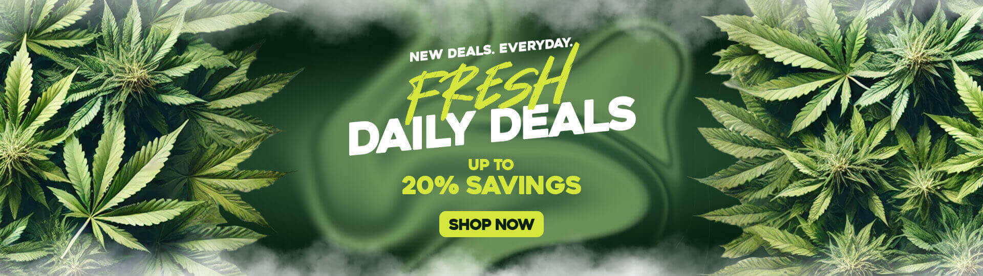 Fresh Daily Deals