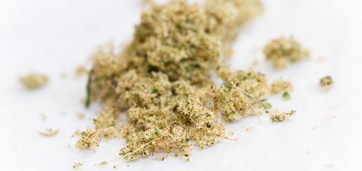 Kief powder in grinder
