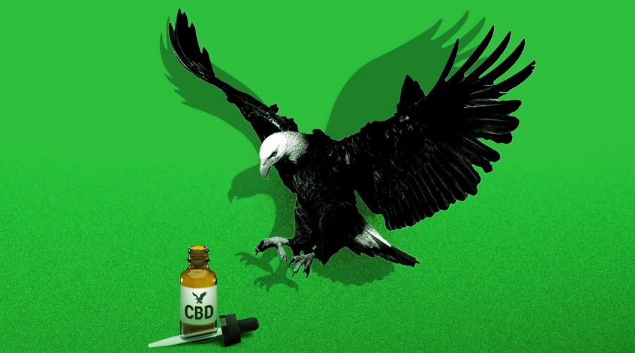 Conditions CBD can treat