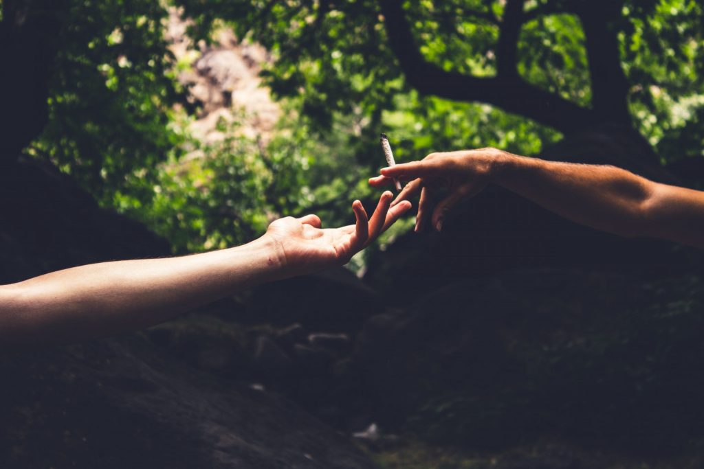 7 Cannabis Strains To Help Boost Your Creative Output