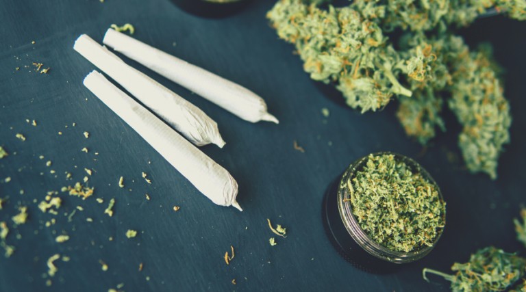 Strain Review Blue Rhino Benefits Effects Uses and more