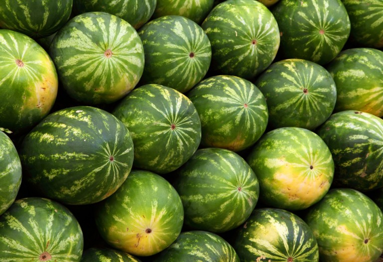 Strain Review: Watermelon Kush: Benefits, Effects, Uses, and more