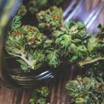 How to Order Weed Online in Ontario Canada