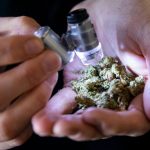 What is a cannabis sommelier?