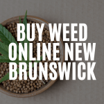 Hey New Brunswick! Your Friendly Guide to Buying Weed Online