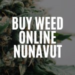 Hey Nunavut! Your Go-To Guide for Buying Weed Online with Green Bangers!