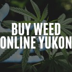 Your Go-To Spot to Buy Weed Online in Yukon!