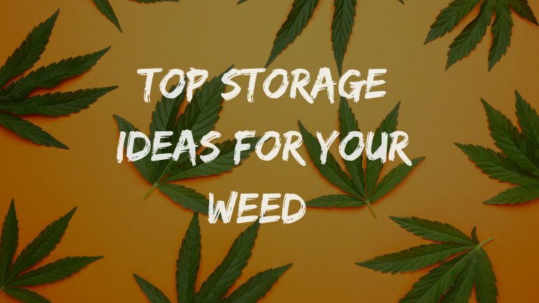 Top storage ideas for your weed!