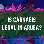 Cannabis Legality in Aruba: What Tourists Need to Know