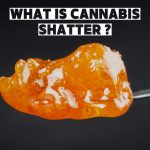 Cannabis Shatter Explained: Potency, Production, and Differences
