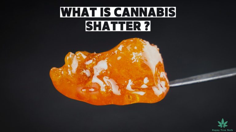 What Is Cannabis Shatter ?
