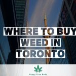 Where to Buy Weed in Toronto: A Complete Legal Guide