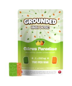 Citrus Paradise