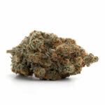 EL Chapo (Indica)