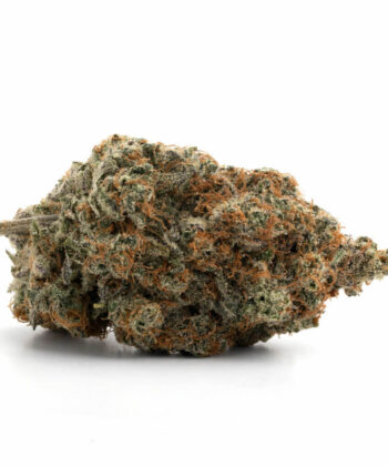 EL Chapo (Indica)