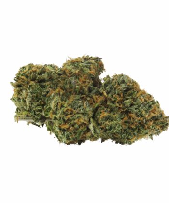 Frosted Fruit Cake Indica