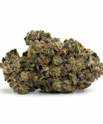 Jet-Fuel