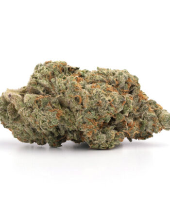 Mango Kush