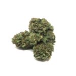 OG Kush (Hybrid) - AAA