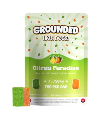 Citrus Paradise