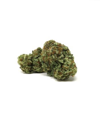Best Sativa Canada