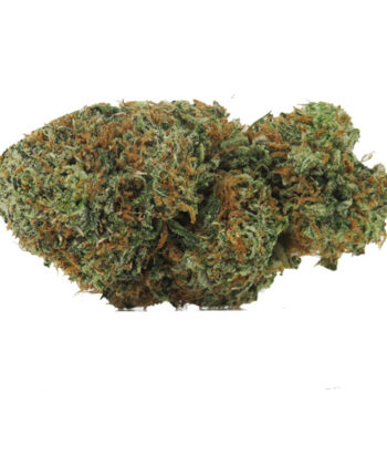 Strawberry Guava Strain