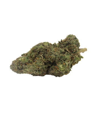 Apple Fritter