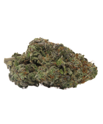 Gorilla Kush (Indica) - AAA