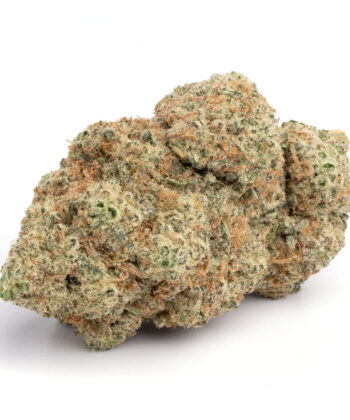 Papaya Punch